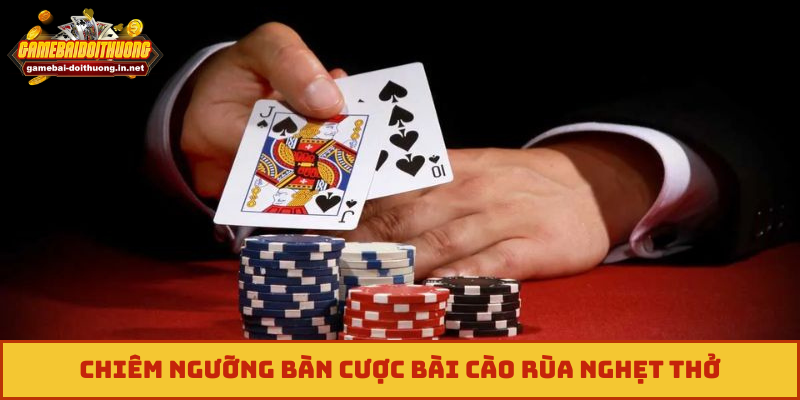 Chiêm ngưỡng bàn cược bài cào rùa nghẹt thở