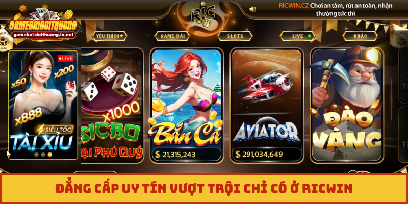Đẳng cấp uy tín vượt trội chỉ có ở Ricwin